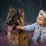 Dziewczynka z psami - fotografia